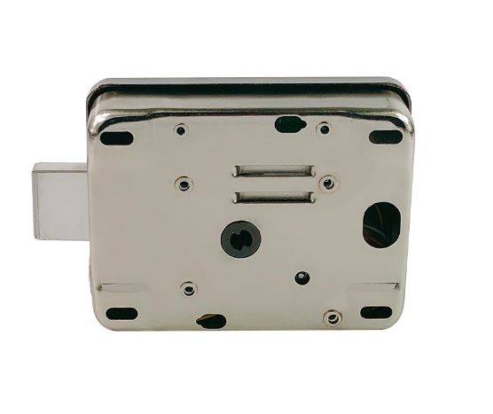 Electric Rim Door Lock with Remote & Card