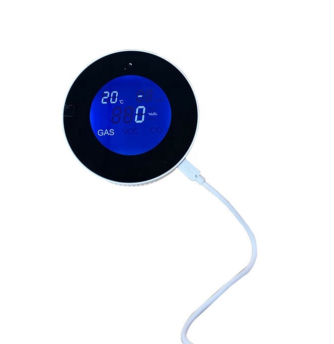 Stand-Alone Gas Leakage Detector